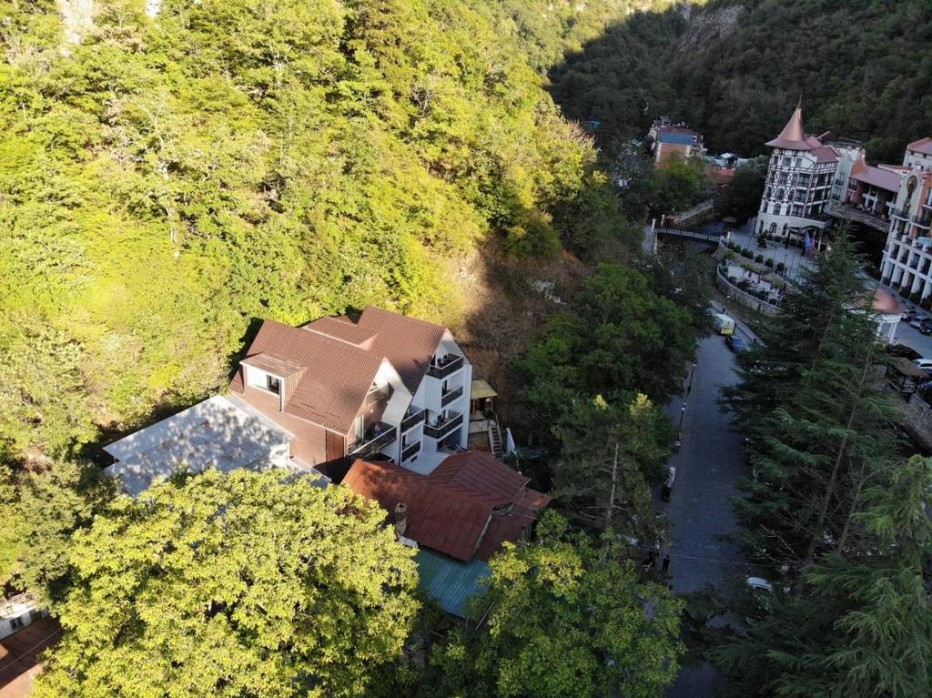 Borjomi UnderWood Hotel 4*