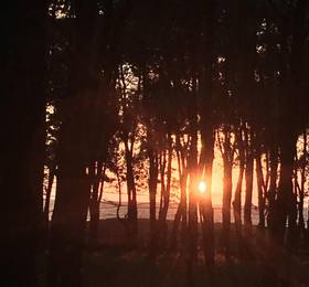 Simple Pleasures Shekvetili Hotel в Шекветили