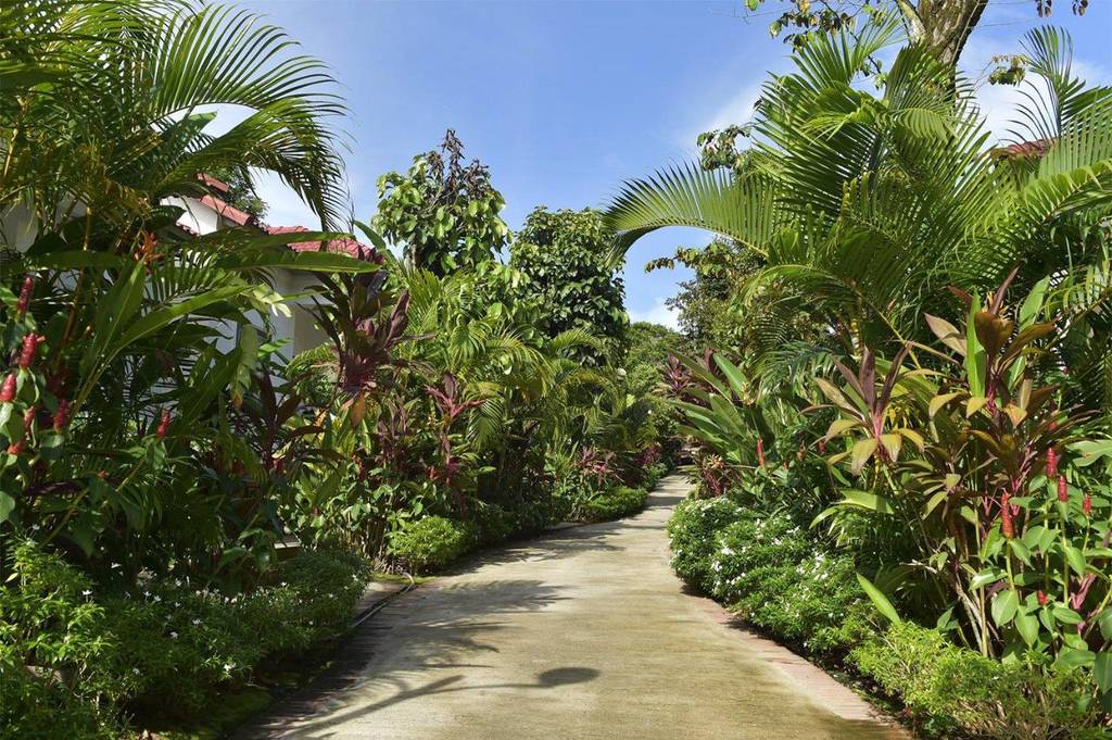 Rainforest Resort 3*