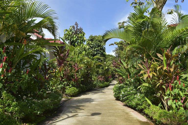Rainforest Resort