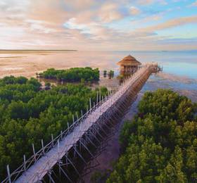 Туры в North Zen Villas, Panglao в Филиппинах