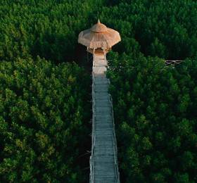 Отдых в North Zen Villas, Panglao - Филиппины, Панглао