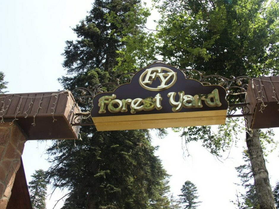 Forest Yard