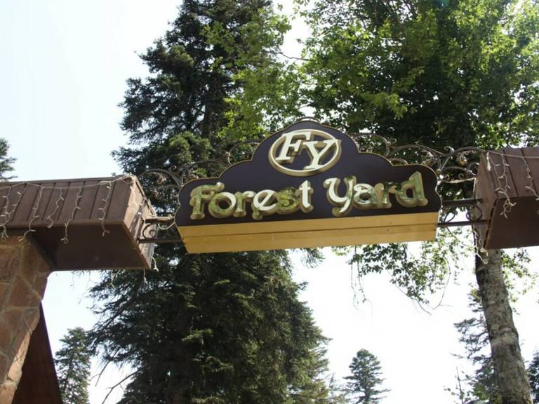 Forest Yard