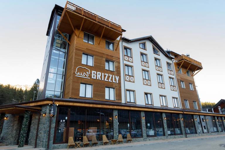Гостиница Grizzly