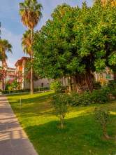 Justiniano Club Alanya 4* Турция, АЛАНЬЯ